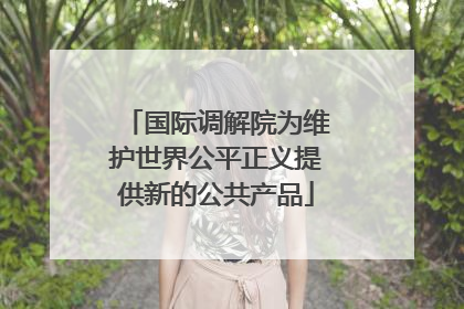 国际调解院为维护世界公平正义提供新的公共产品