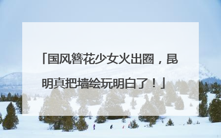 国风簪花少女火出圈，昆明真把墙绘玩明白了！