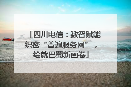 四川电信：数智赋能织密“普遍服务网”，绘就巴蜀新画卷