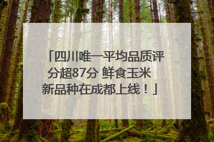 四川唯一平均品质评分超87分 鲜食玉米新品种在成都上线！