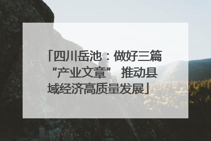 四川岳池：做好三篇“产业文章” 推动县域经济高质量发展