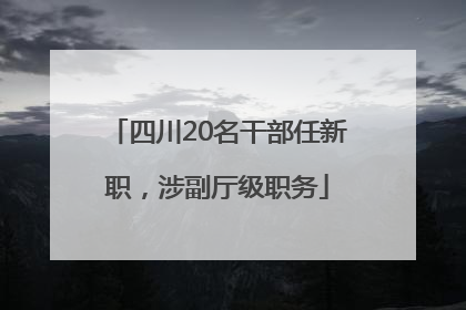 四川20名干部任新职，涉副厅级职务