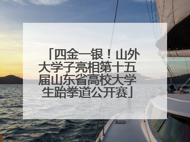 四金一银！山外大学子亮相第十五届山东省高校大学生跆拳道公开赛
