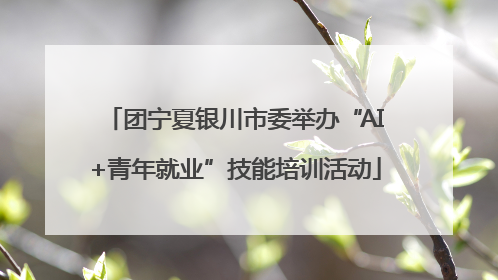 团宁夏银川市委举办“AI+青年就业”技能培训活动