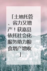 土地托管、省力又增产！获嘉县依托社会化服务助力粮食增产增收