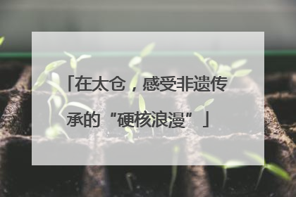 在太仓，感受非遗传承的“硬核浪漫”