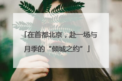 在首都北京，赴一场与月季的“倾城之约”