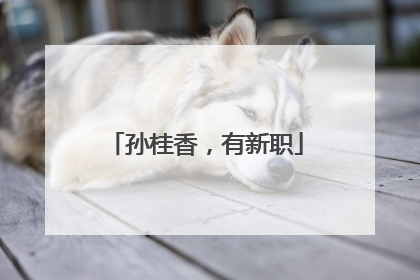 孙桂香，有新职