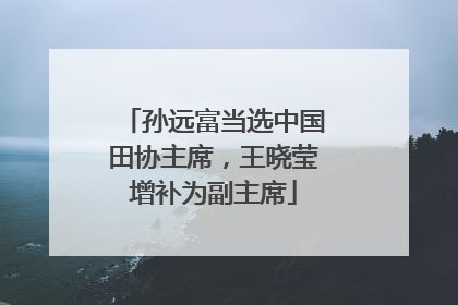孙远富当选中国田协主席，王晓莹增补为副主席