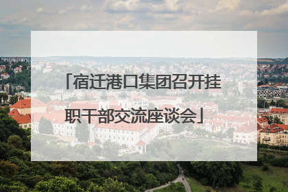 宿迁港口集团召开挂职干部交流座谈会