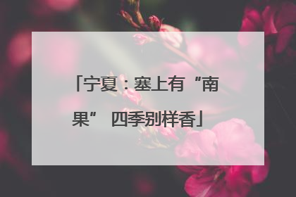 宁夏：塞上有“南果” 四季别样香