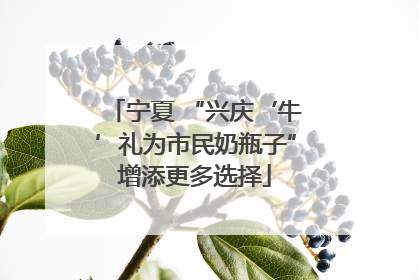 宁夏 “兴庆‘牛’礼为市民奶瓶子”增添更多选择