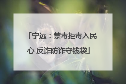 宁远：禁毒拒毒入民心 反诈防诈守钱袋