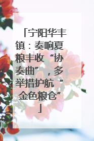 宁阳华丰镇：奏响夏粮丰收“协奏曲”，多举措护航“金色粮仓”
