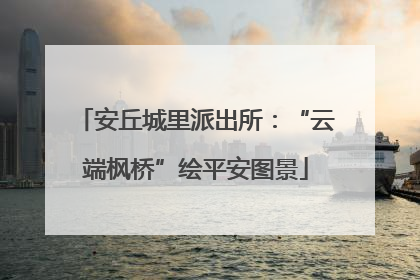 安丘城里派出所：“云端枫桥”绘平安图景
