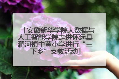 安徽新华学院大数据与人工智能学院走进怀远县淝河镇中黄小学进行“三下乡”支教活动
