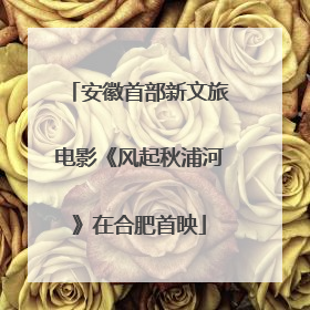 安徽首部新文旅电影《风起秋浦河》在合肥首映