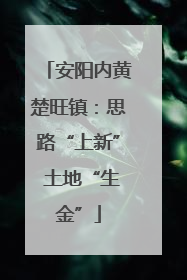 安阳内黄楚旺镇：思路“上新” 土地“生金”