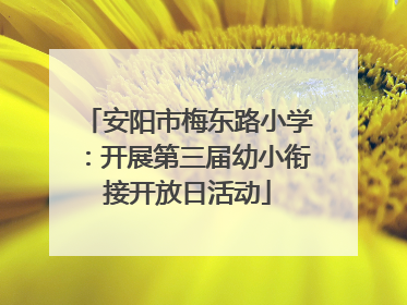 安阳市梅东路小学：开展第三届幼小衔接开放日活动