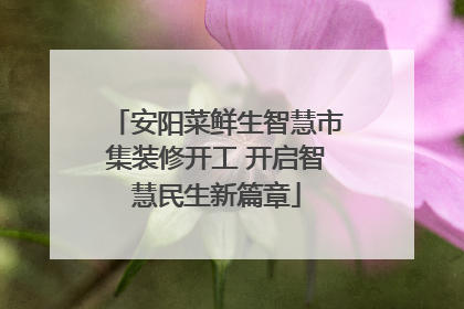 安阳菜鲜生智慧市集装修开工 开启智慧民生新篇章