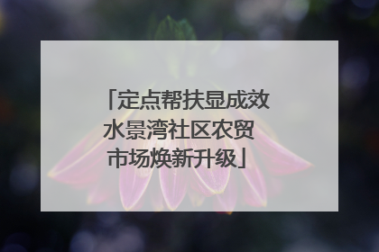 定点帮扶显成效 水景湾社区农贸市场焕新升级