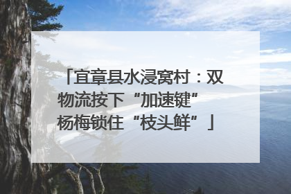 宜章县水浸窝村：双物流按下“加速键” 杨梅锁住“枝头鲜”