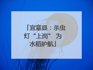 宜章县：杀虫灯“上岗” 为水稻护航