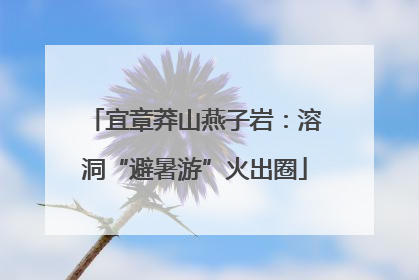 宜章莽山燕子岩：溶洞“避暑游”火出圈