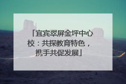 宜宾翠屏金坪中心校：共探教育特色，携手共促发展