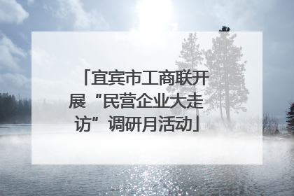 宜宾市工商联开展“民营企业大走访”调研月活动
