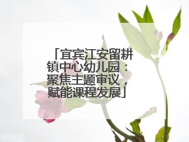 宜宾江安留耕镇中心幼儿园：聚焦主题审议，赋能课程发展