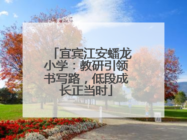 宜宾江安蟠龙小学：教研引领书写路，低段成长正当时