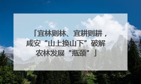 宜林则林、宜耕则耕，咸安“山上换山下”破解农林发展“瓶颈”