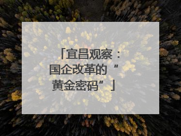 宜昌观察：国企改革的“黄金密码”