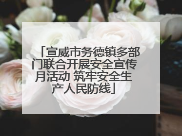 宣威市务德镇多部门联合开展安全宣传月活动 筑牢安全生产人民防线