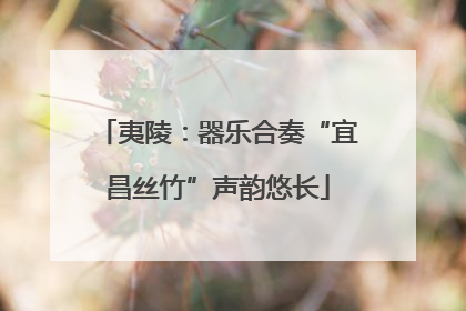夷陵：器乐合奏“宜昌丝竹”声韵悠长