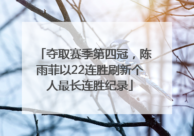 夺取赛季第四冠，陈雨菲以22连胜刷新个人最长连胜纪录