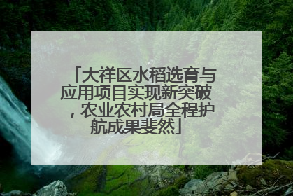 大祥区水稻选育与应用项目实现新突破，农业农村局全程护航成果斐然