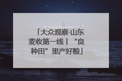 大众观察·山东麦收第一线丨“良种田”里产好粮