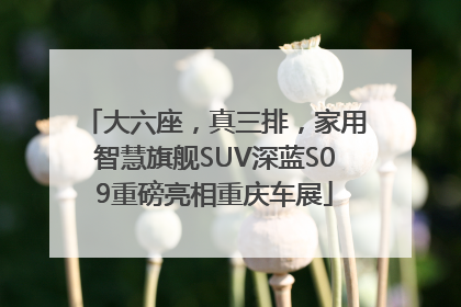 大六座，真三排，家用智慧旗舰SUV深蓝S09重磅亮相重庆车展