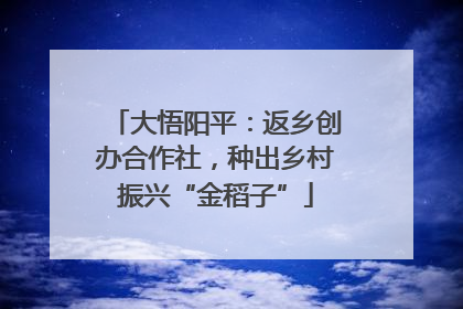 大悟阳平：返乡创办合作社，种出乡村振兴“金稻子”