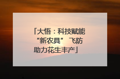 大悟：科技赋能“新农具” 飞防助力花生丰产