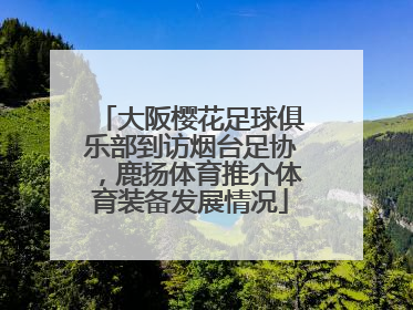 大阪樱花足球俱乐部到访烟台足协，鹿扬体育推介体育装备发展情况