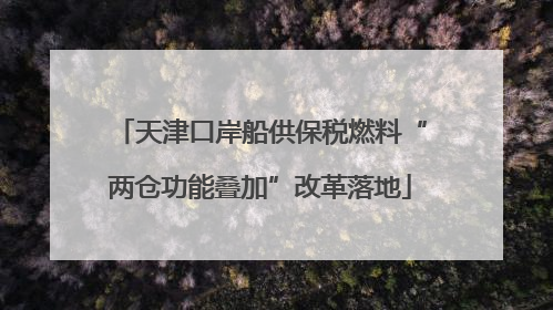 天津口岸船供保税燃料“两仓功能叠加”改革落地