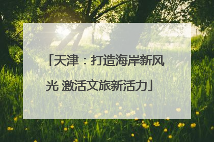 天津：打造海岸新风光 激活文旅新活力