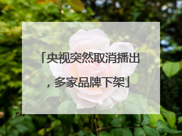 央视突然取消播出，多家品牌下架