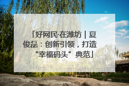 好网民·在潍坊｜夏俊磊：创新引领，打造“幸福码头”典范