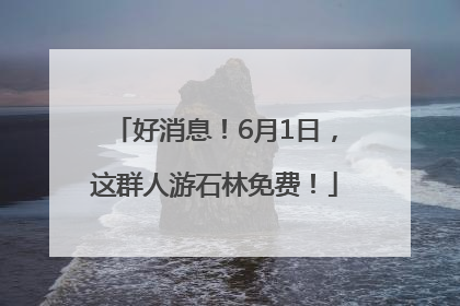 好消息！6月1日，这群人游石林免费！