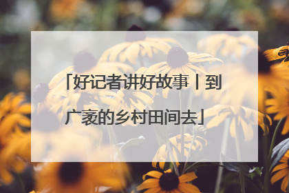 好记者讲好故事丨到广袤的乡村田间去