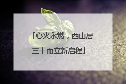 心火永燃，西山居三十而立新启程